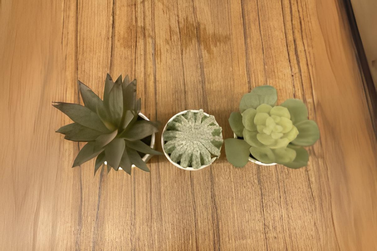 Succulent Artificial