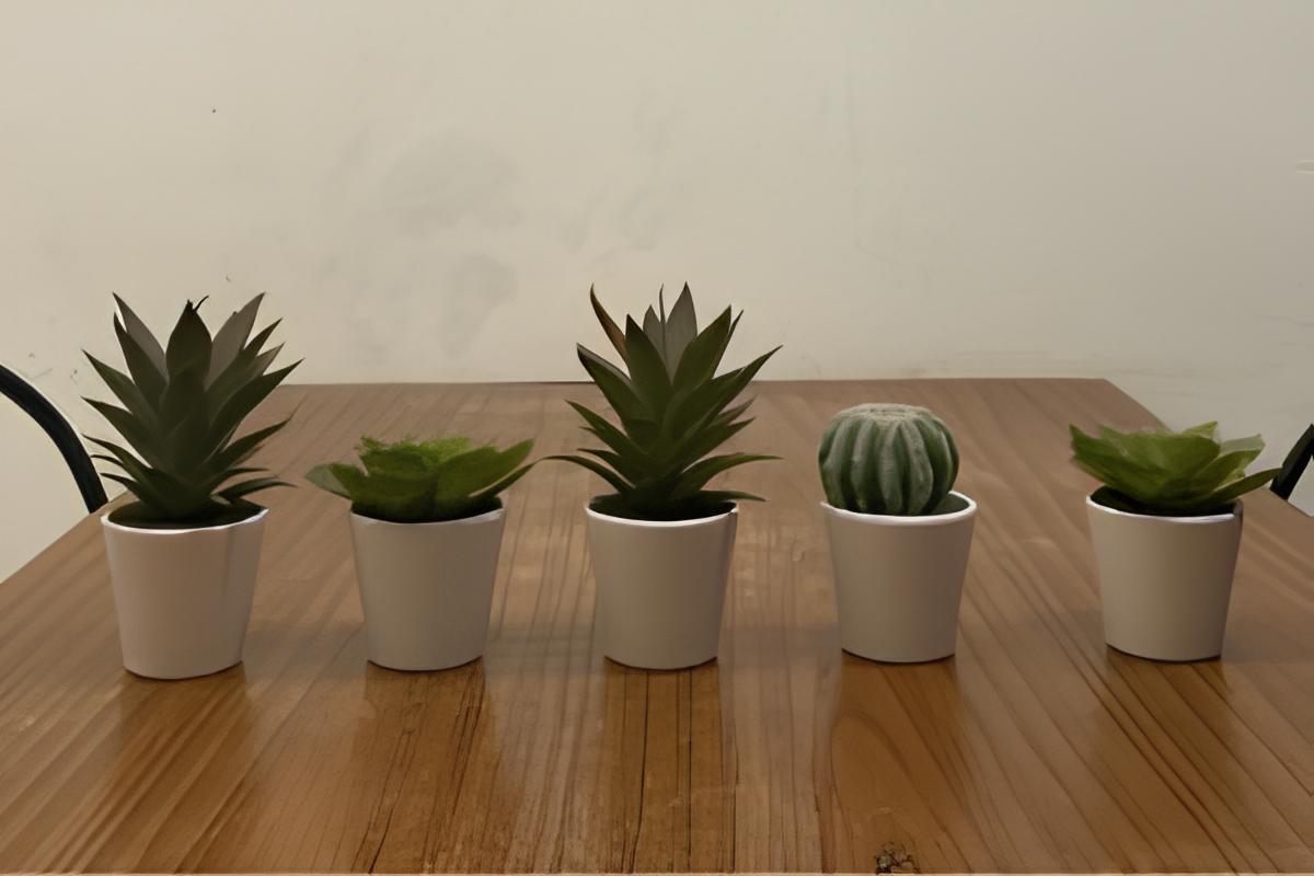 Succulent Artificial